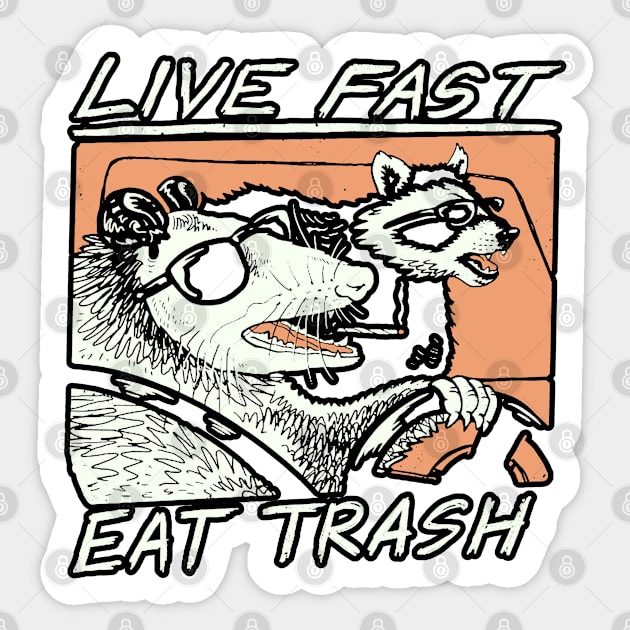 Graphic Raccoons Live Fast Eat Trash Sticker by masterpiecesai